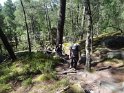 2014-06-05 16-58-59 Foret de Fontainebleau DLe